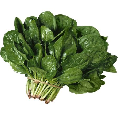 Espinaca (und)